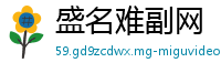 盛名难副网